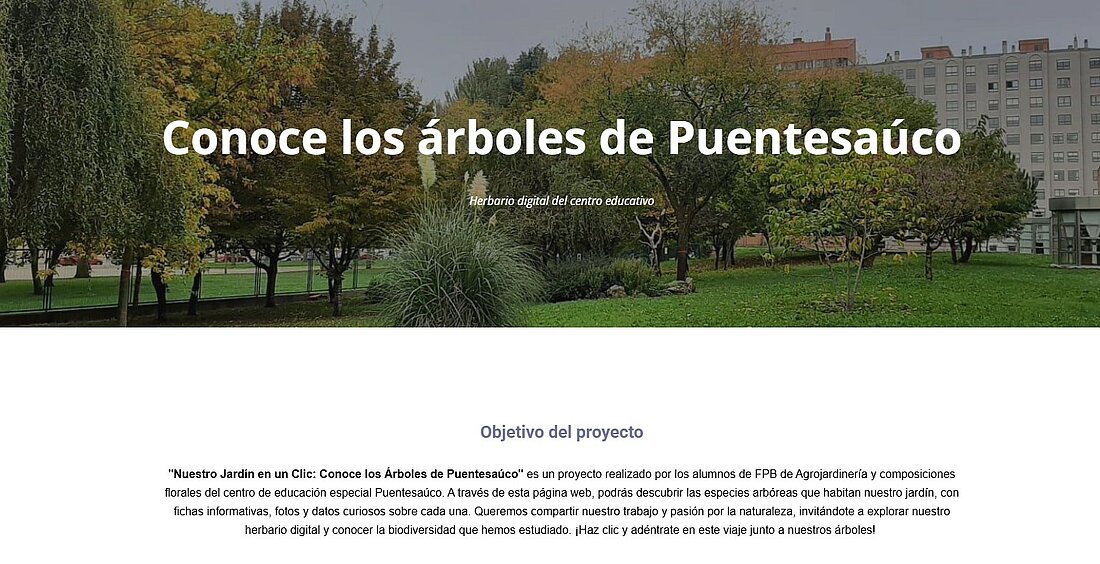 Haz clic aquí